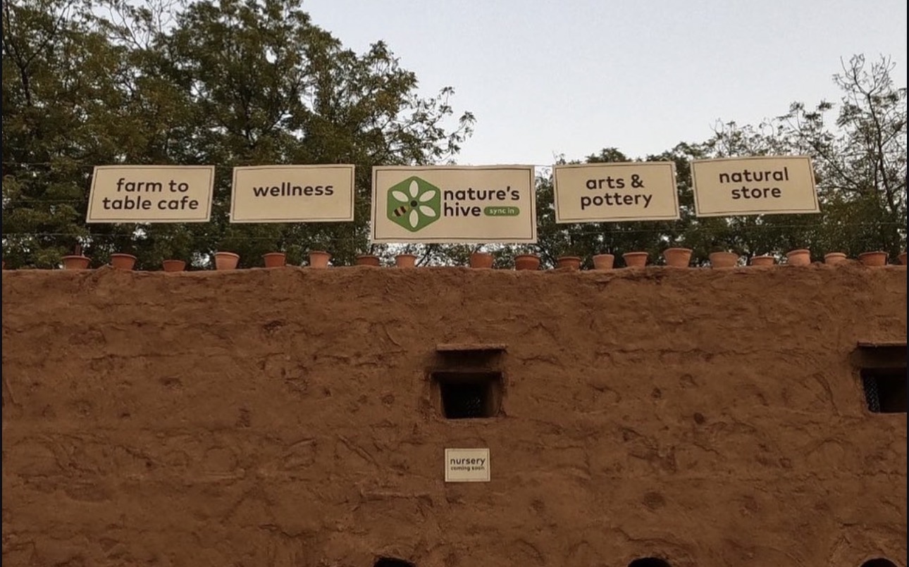 Nature's Hive — café, wellness, pottery and natural store